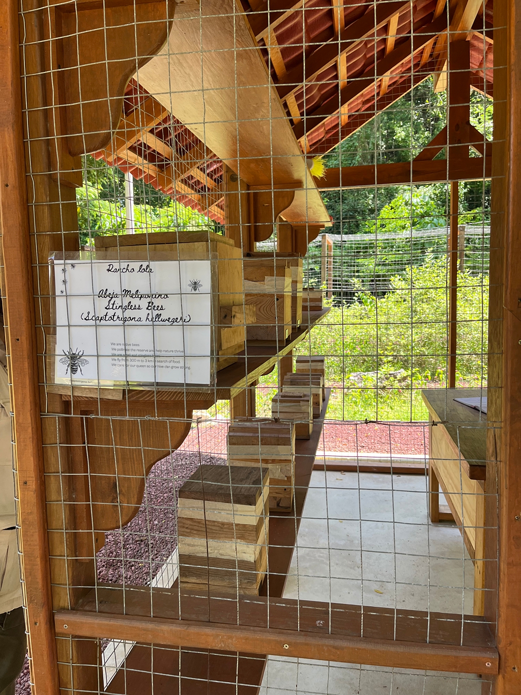 The small bee operation on the farm, showing bee boxes for native stingless bees