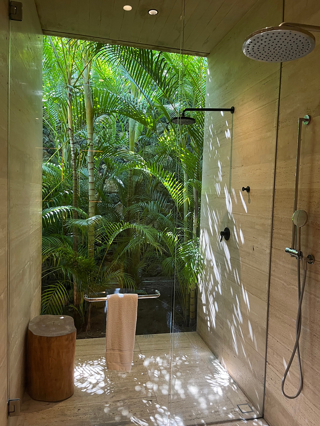 A spa shower with forested window
